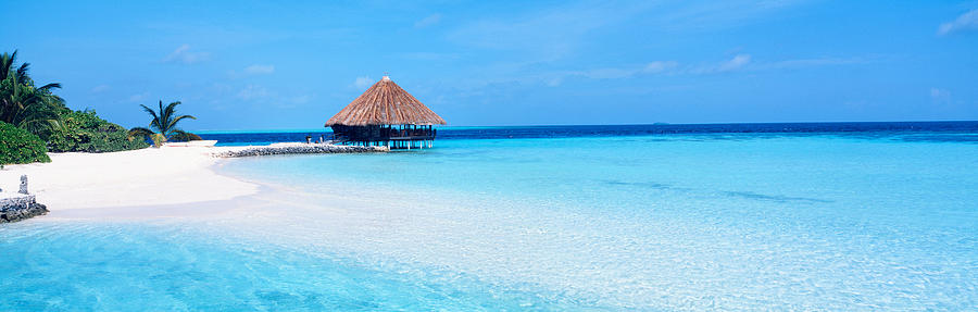 Tree Photograph - Beach Scene The Maldives #2 by Panoramic Images