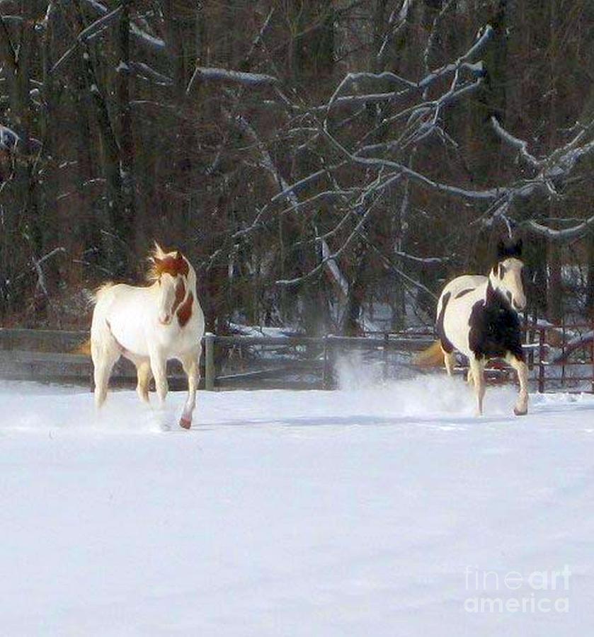 Ohio Winter Photograph - 2 Beauties Playing in the Snow by R A W M  