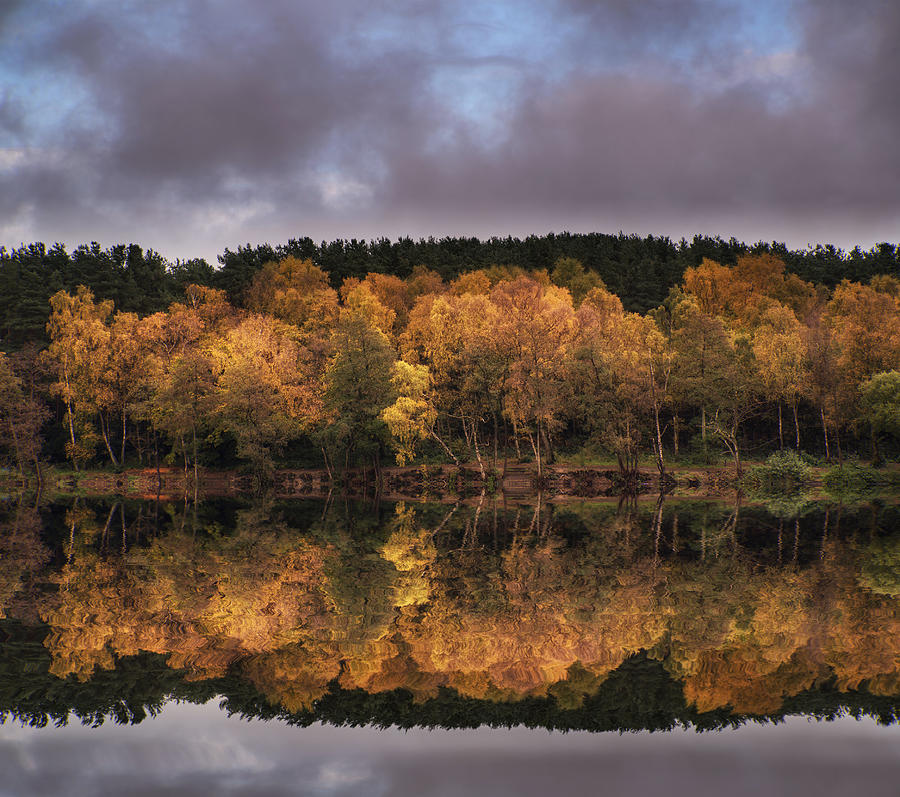 Fall Photograph - Beautiful vibrant Autumn woodland reflecions in calm lake waters #2 by Matthew Gibson