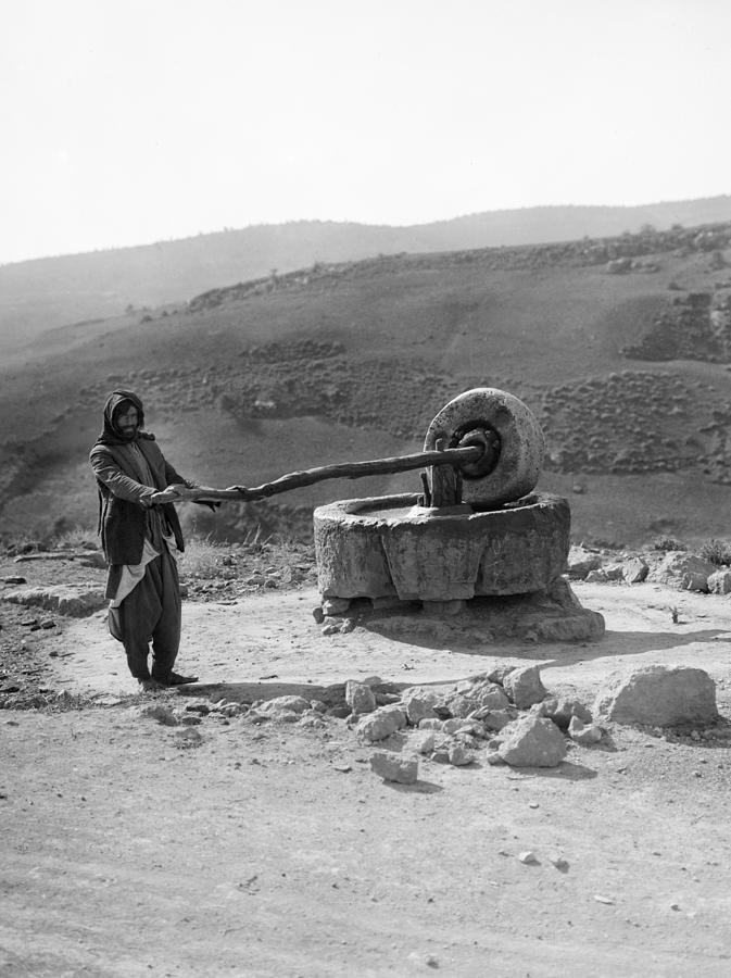 Bedouin Man, C1910 #2 Photograph by Granger Bedouin Man, C1910 #2 Photograph by Granger