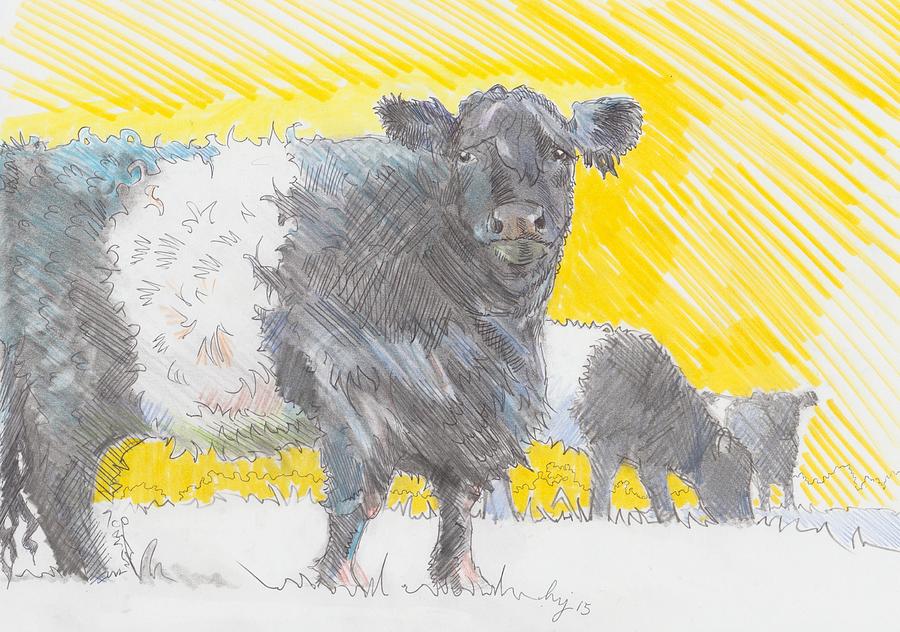 Belted Galloway Cows #5 Drawing by Mike Jory