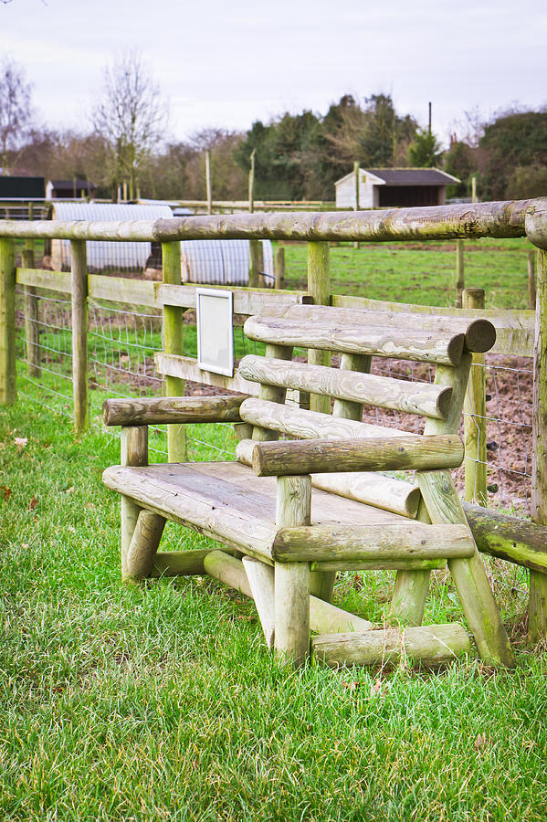 Nature Photograph - Bench #2 by Tom Gowanlock