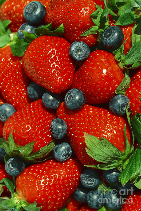 Strawberry Photograph - 2 Berries are Better than 1 by Aloha Art