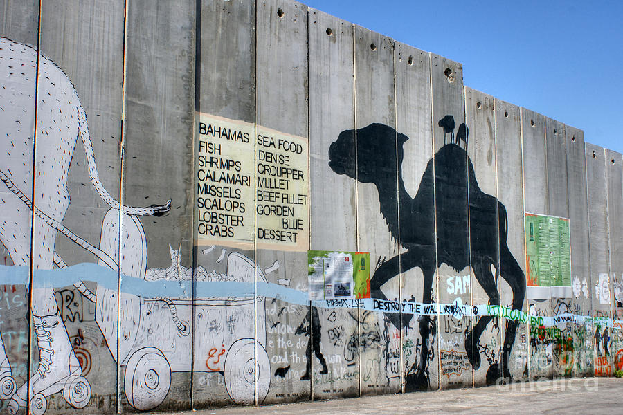 Bethlehem Separation Wall 2 Photograph by David Birchall