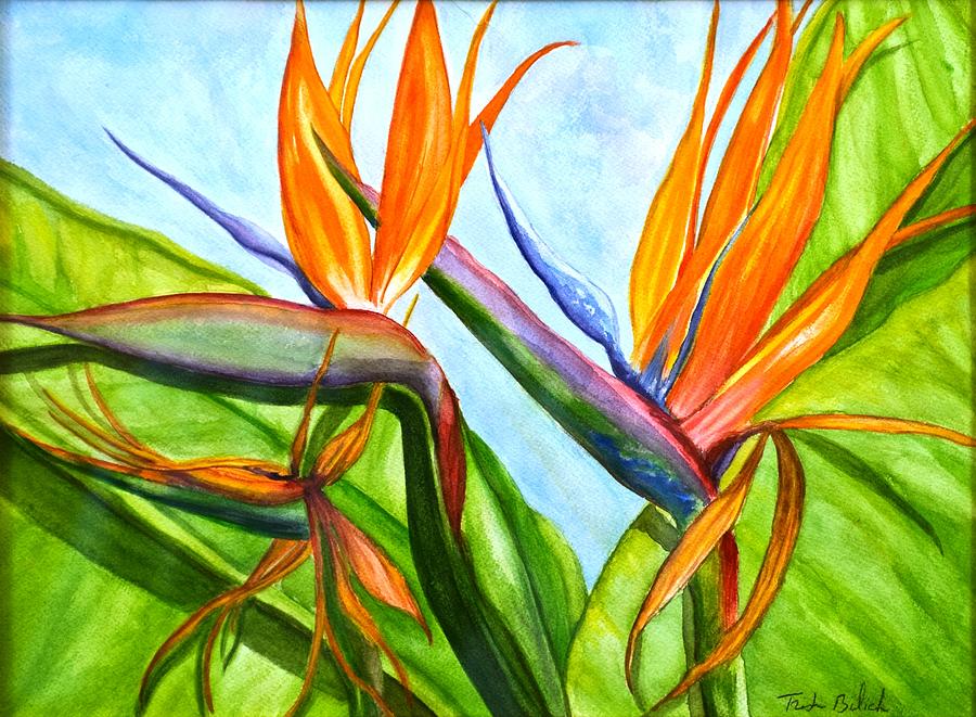 Birds of Paradise by Trish Bilich Birds of Paradise by Trish Bilich