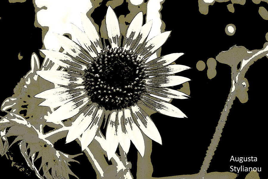 Black and White Flowers #3 Digital Art by Augusta Stylianou
