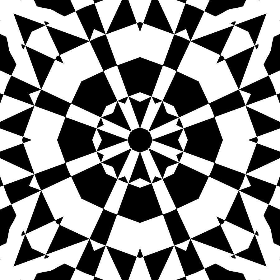 Black and White Kaleidoscope #2 Digital Art by David G Paul