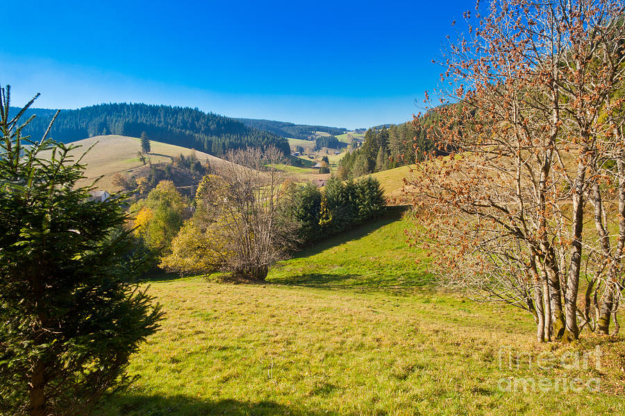 Black Forest Landscape Photograph by Stephan Pietzko - Fine Art America