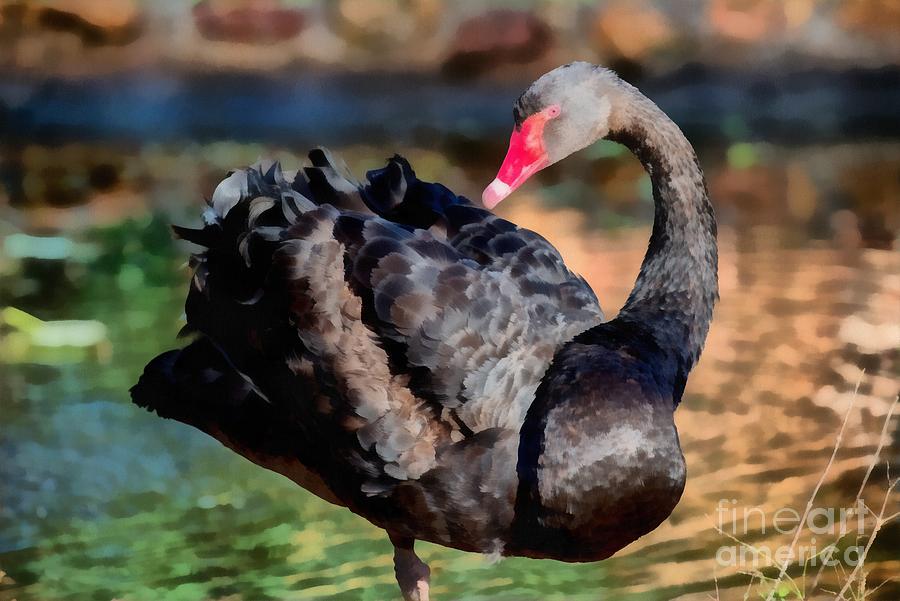 Swan Painting - Black swan #2 by George Atsametakis