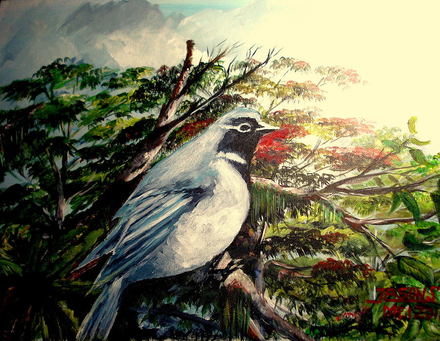 Black-throated Robin  Painting by Jason Sentuf