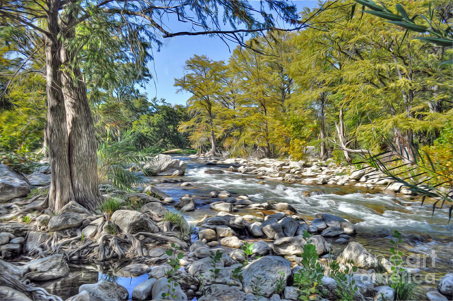 Guadalupe River Photograph