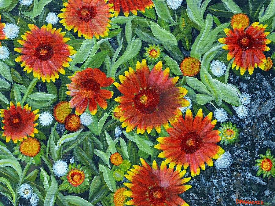 Blanket Flowers by Donna Manaraze Blanket Flowers by Donna Manaraze