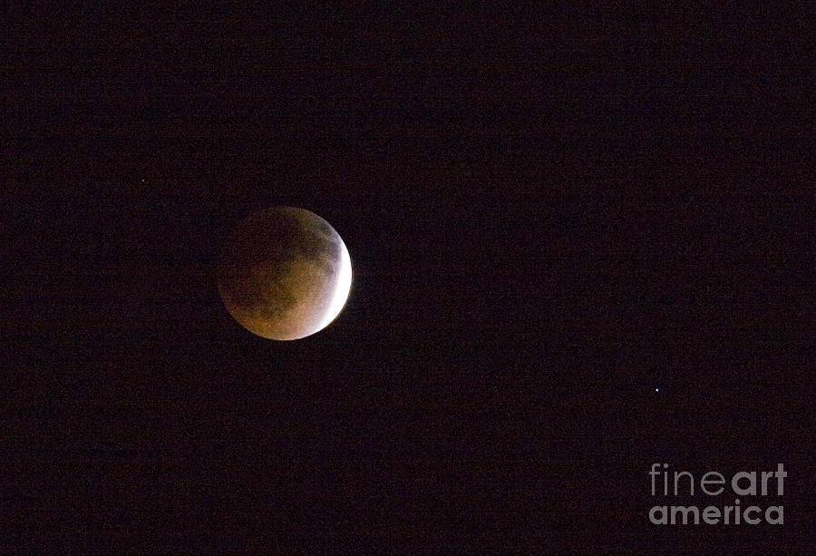 Blood Moon #2 Photograph by Steven Krull