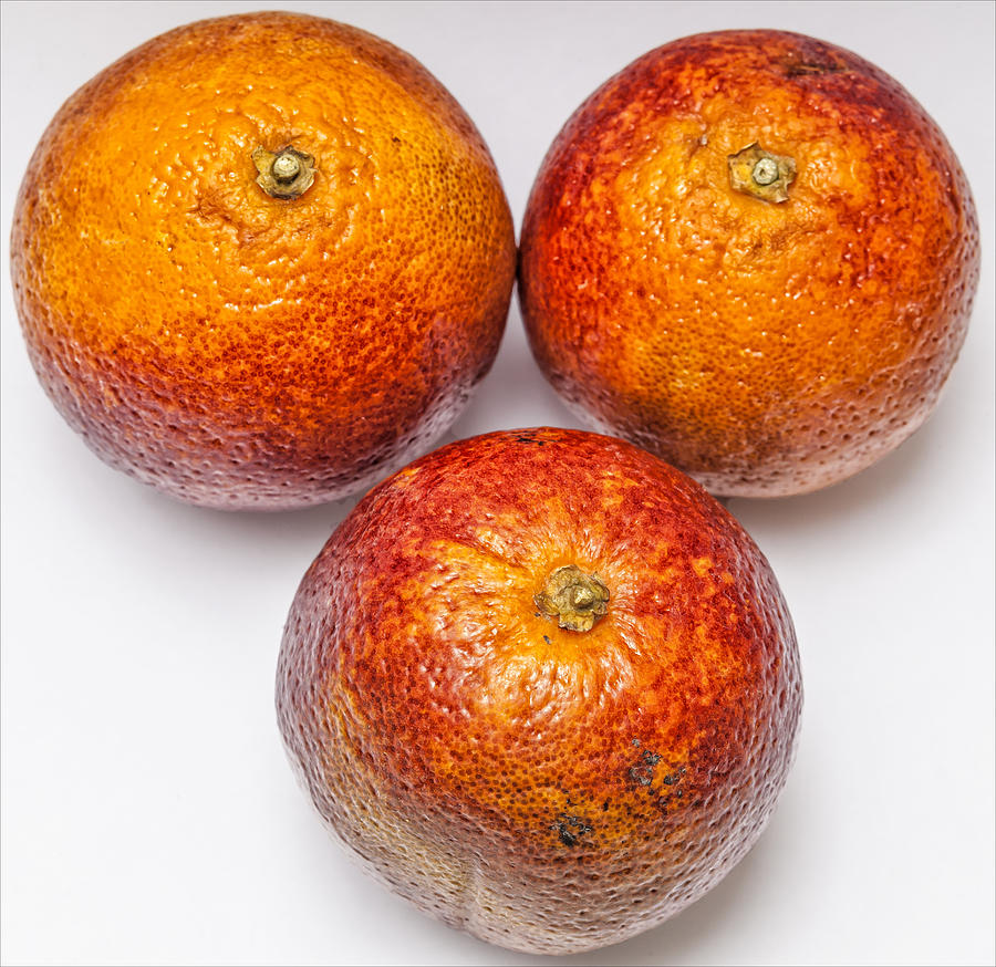 Blood Oranges #2 Photograph by Robert Ullmann