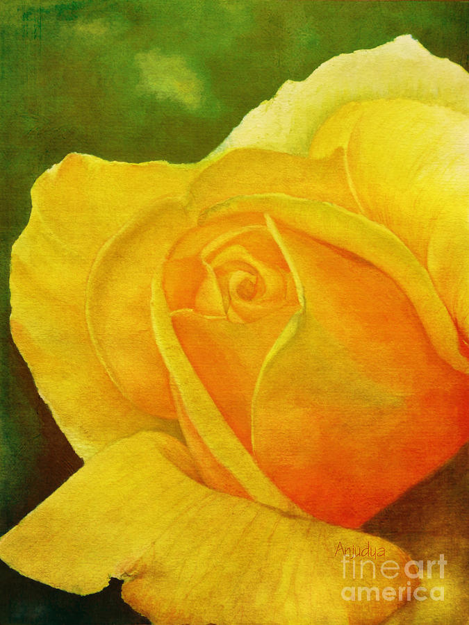 Beautiful Rose Painting - Blooming Beauty by Anjali Vaidya