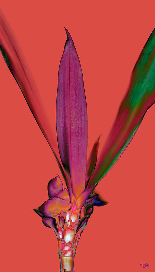 Blooming #2 Digital Art by Dolores Kaufman