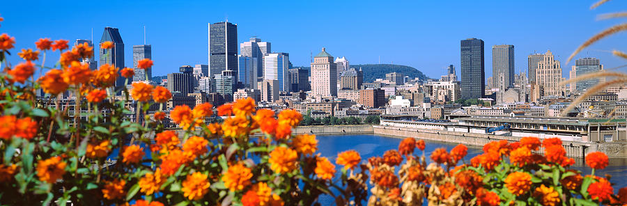 Architecture Photograph - Blooming Flowers With City Skyline #2 by Panoramic Images