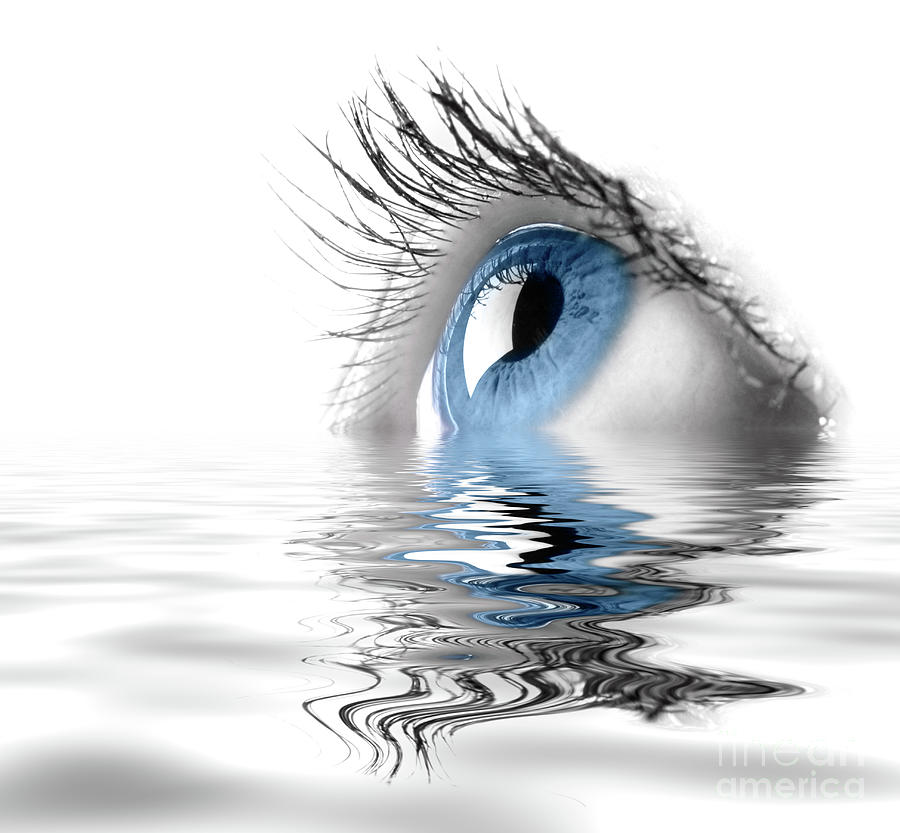 Blue Eye #2 Photograph by Maxim Images Exquisite Prints