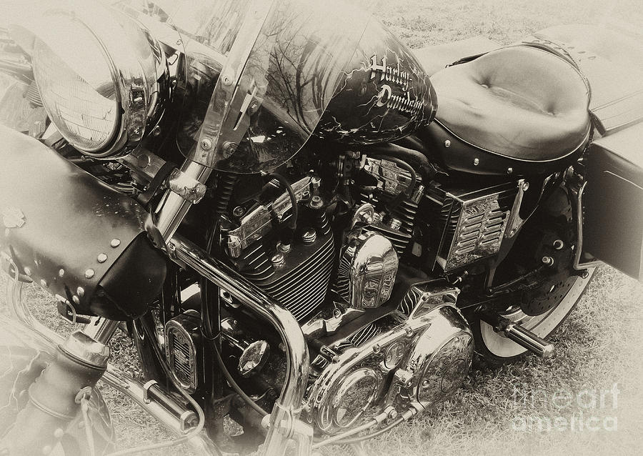 Blue Harley #2 Photograph by Wilma  Birdwell