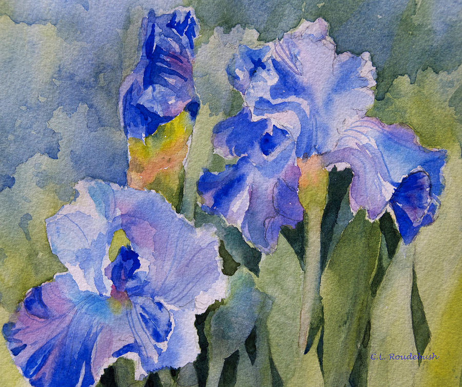 Iris Painting - Blue Iris #2 by Cynthia Roudebush
