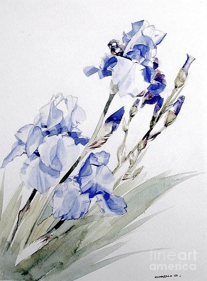 Blue Irises Painting by Greta Corens