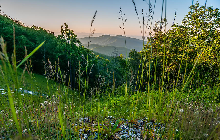 Blue Ridge Parkway Early Morning Photograph