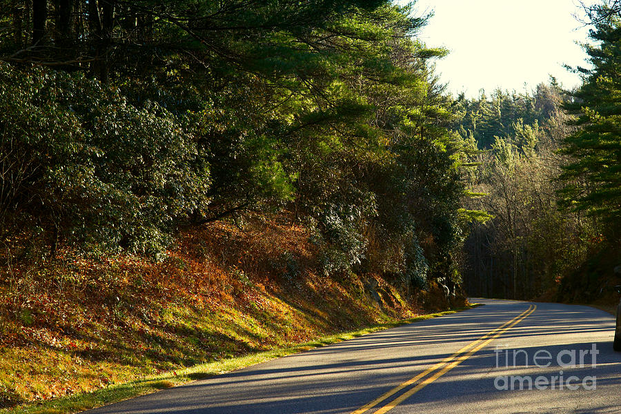 Blue Ridge Parkway #2 Photograph by Les Palenik