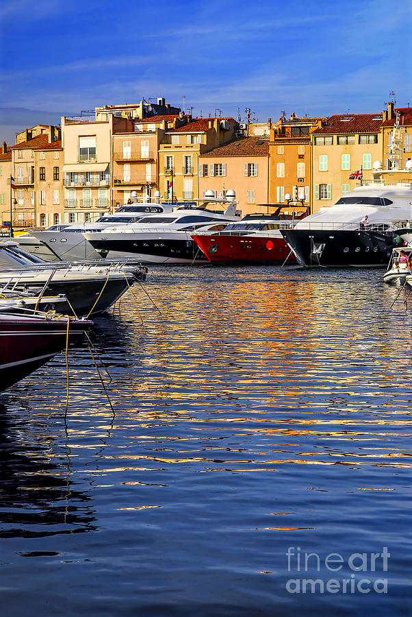 Boats at St.Tropez 5 Photograph by Elena Elisseeva