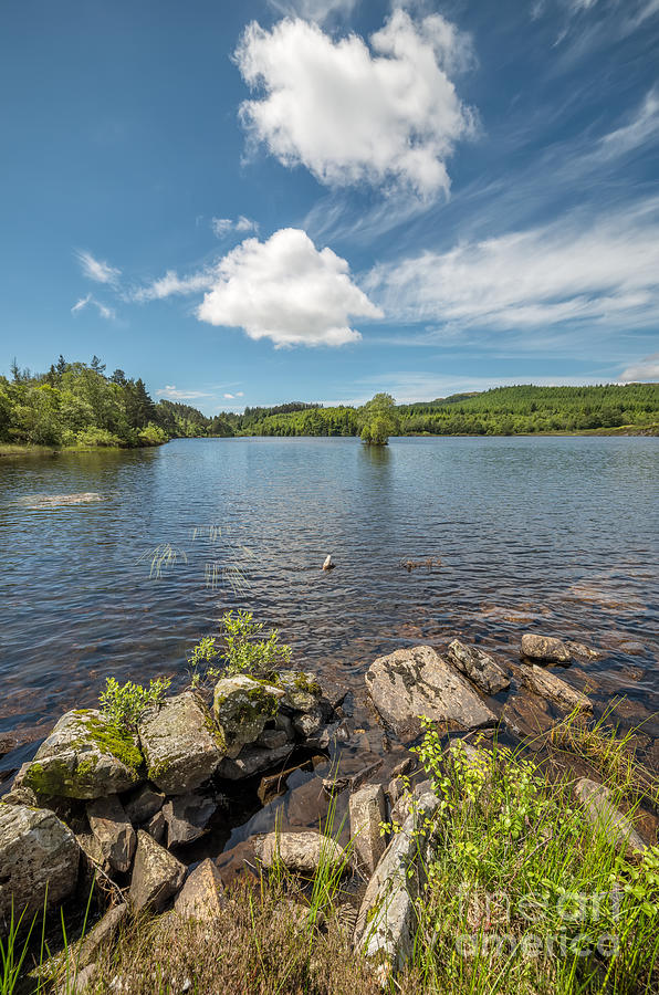 Bodgynydd Lake #3 Photograph by Adrian Evans