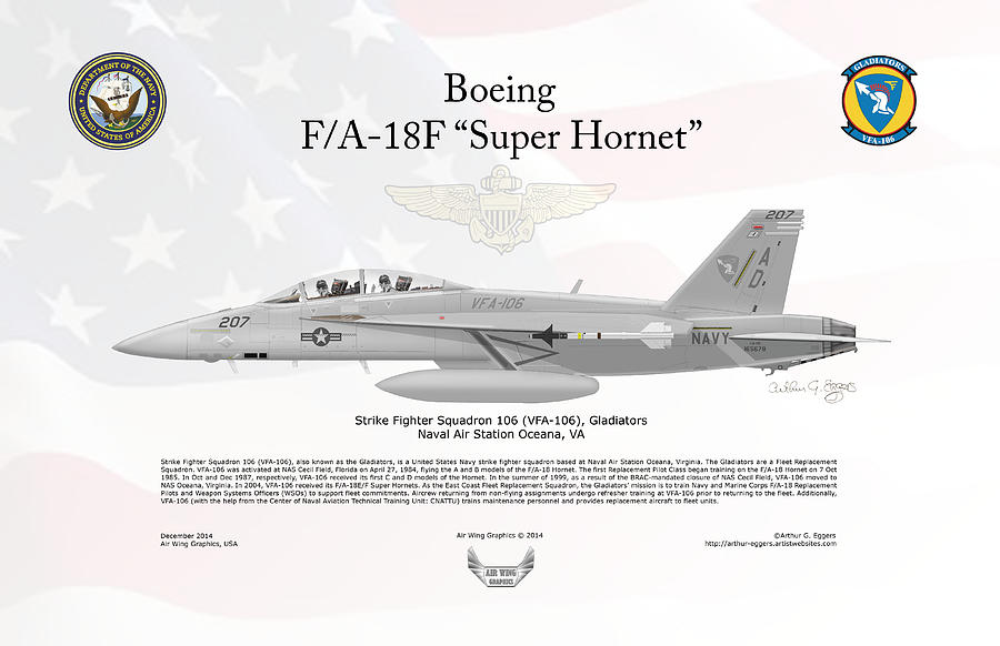 Boeing FA-18F Hornet FLAG BACKGROUND Digital Art by Arthur Eggers