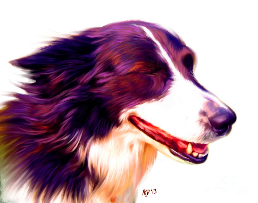 Dog Painting - Border Collie #3 by Iain McDonald