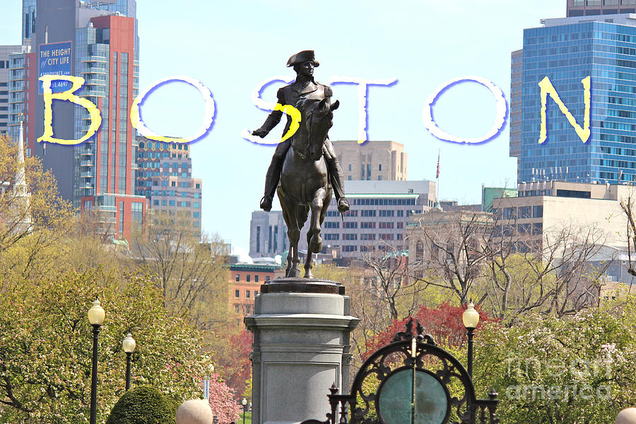 Boston Public Gardens Photograph