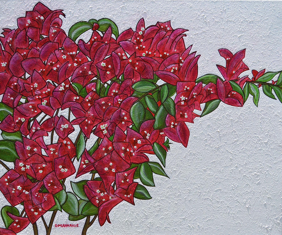 Bougainvillea by Donna Manaraze Bougainvillea by Donna Manaraze