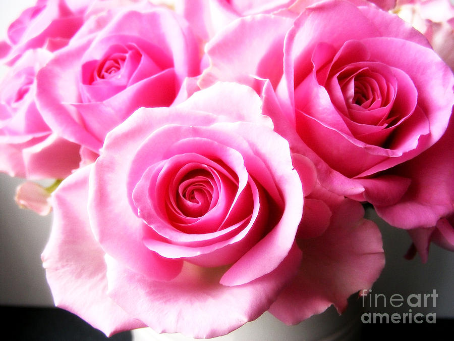 Bouquet Of Pink Roses #1 Photograph by Nina Ficur Feenan