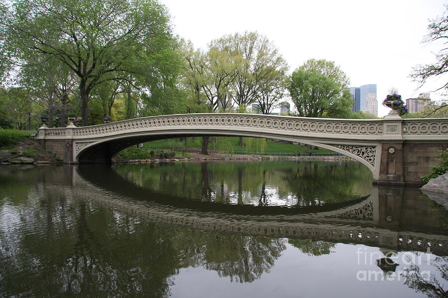 Tree Photograph - Bow Bridge Reflection NYC by Christiane Schulze Art And Photography
