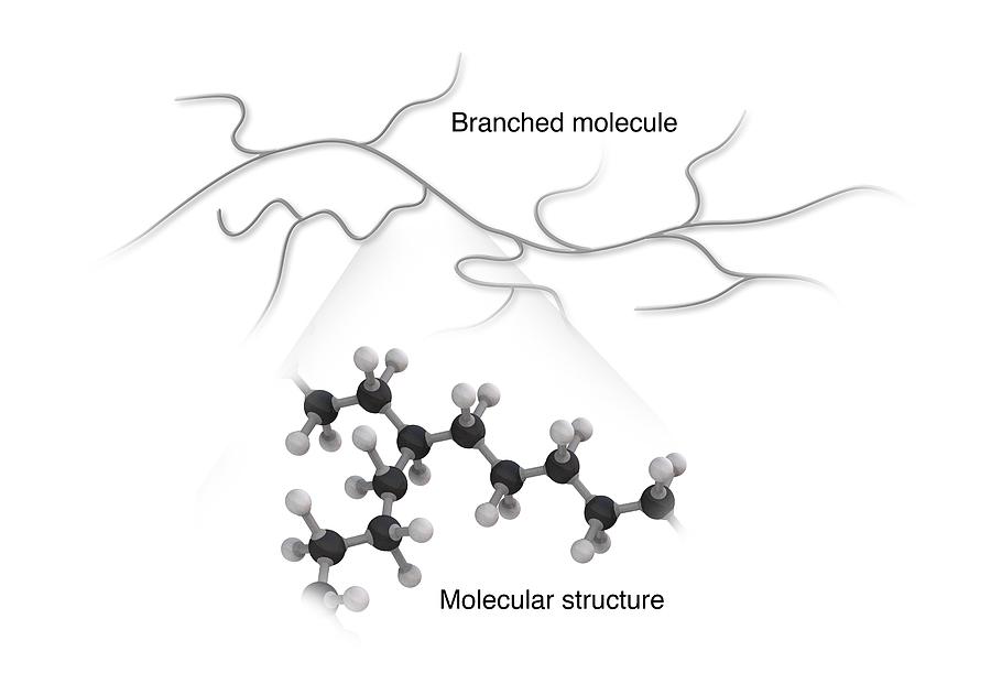 Nobody Photograph - Branched Molecule #2 by Mikkel Juul Jensen