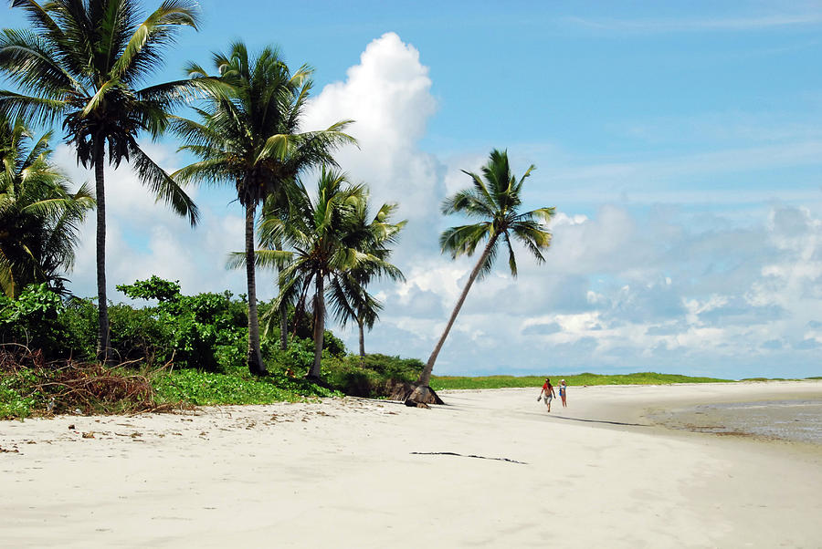 Brazil, Pernambuco, Ilha De Itamaraca Photograph by Anthony Asael ...