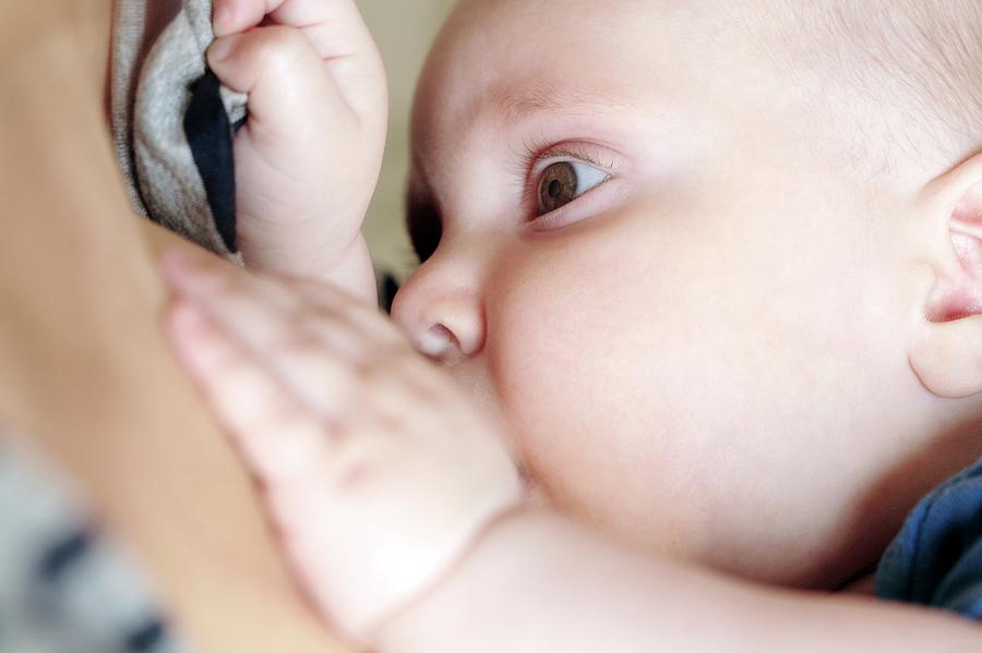 Breast-feeding #2 Photograph by Mauro Fermariello/science Photo Library