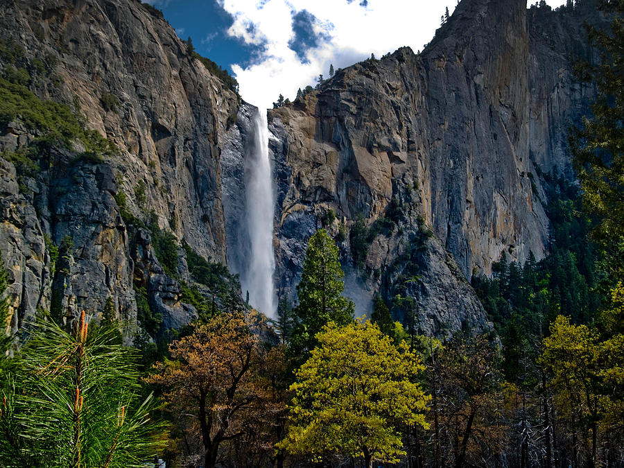 Bridalveil Falls Photograph by Bill Gallagher - Fine Art America