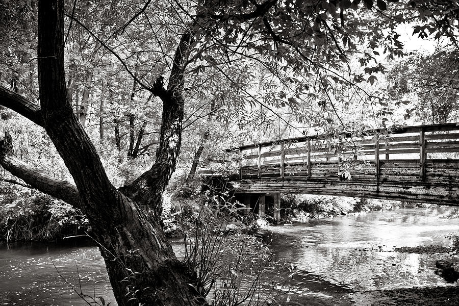 Bridge at Ellison Park #2 Photograph by Sara Frank