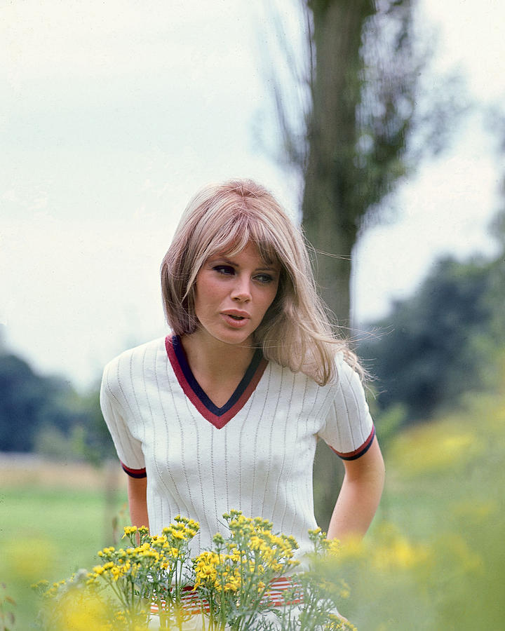 Britt Ekland #2 Photograph by Silver Screen Britt Ekland #2 Photograph by Silver Screen
