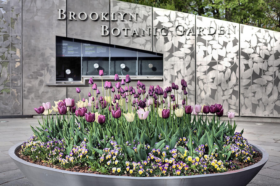 Brooklyn Botanical Garden #2 Photograph by JC Findley