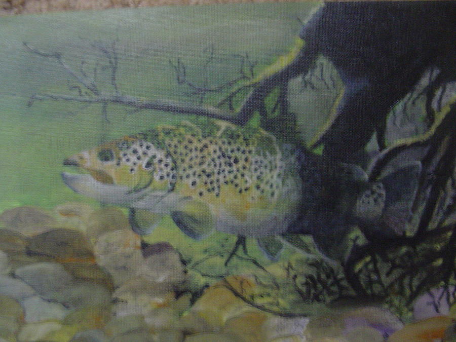 Brown Trout Painting by Stephen Thomson | Fine Art America