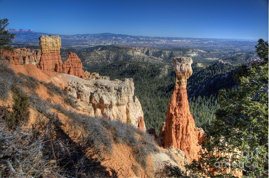 Bryce Canyon #2 Photograph by Marc Bittan