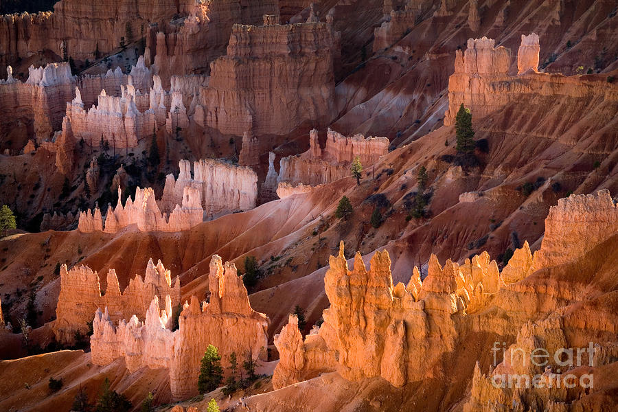 Bryce Canyon National Park, Ut #2 Photograph by Sean Bagshaw