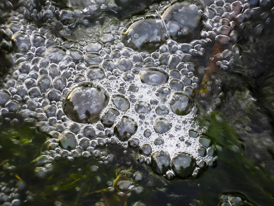 Abstract Photograph - Bubbles #2 by David Pyatt