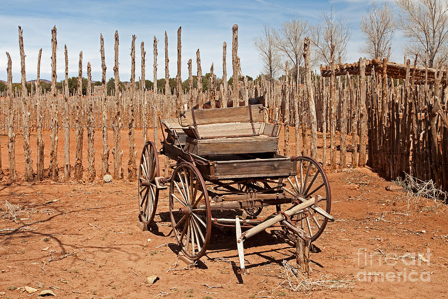 Buckboard Pipe Spring National Monument #2 Photograph by Fred Stearns