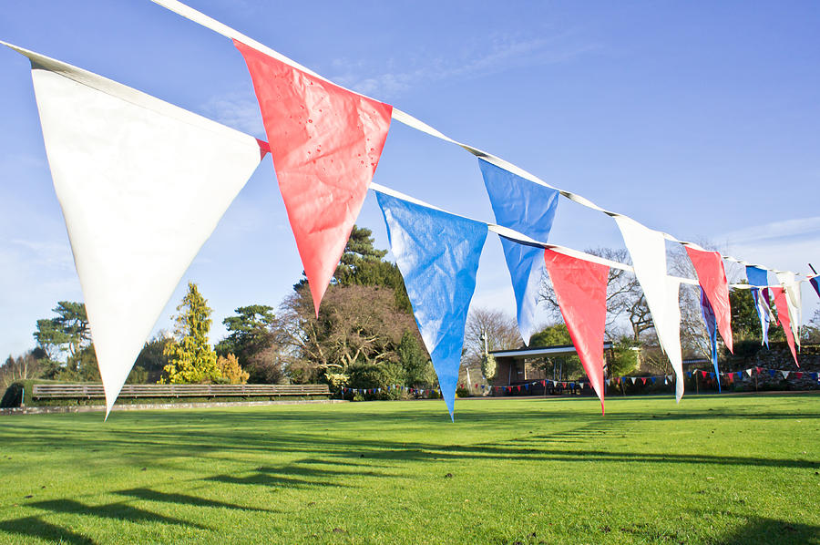 Bunting #2 Photograph by Tom Gowanlock