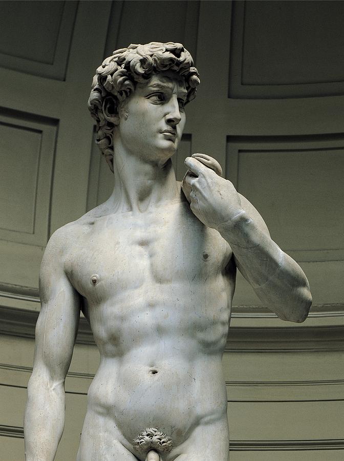 Buonarroti Michelangelo David Photograph By Everett Fine Art