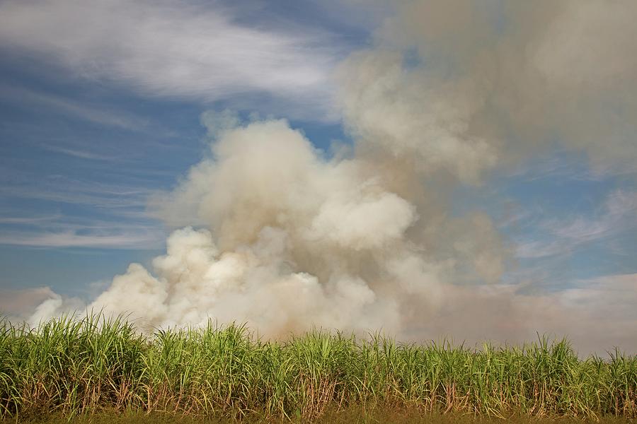 Burning Sugar Cane #2 Photograph by Jim West